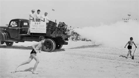 Even 40 years after exposure, DDT linked to breast cancer | Grist