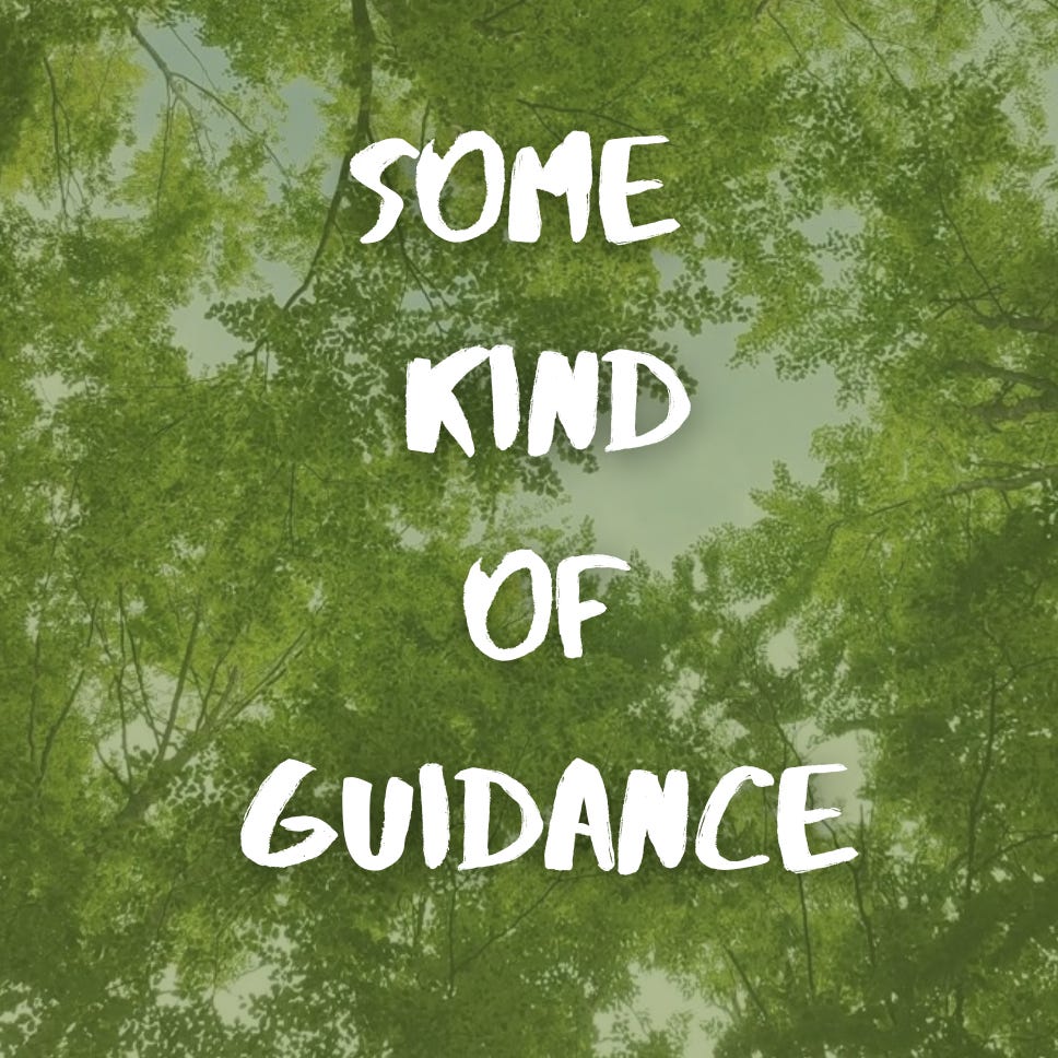 Artwork for Some Kind of Guidance