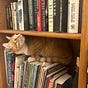 Kristin Morgan's avatar