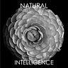 Natural Intelligence