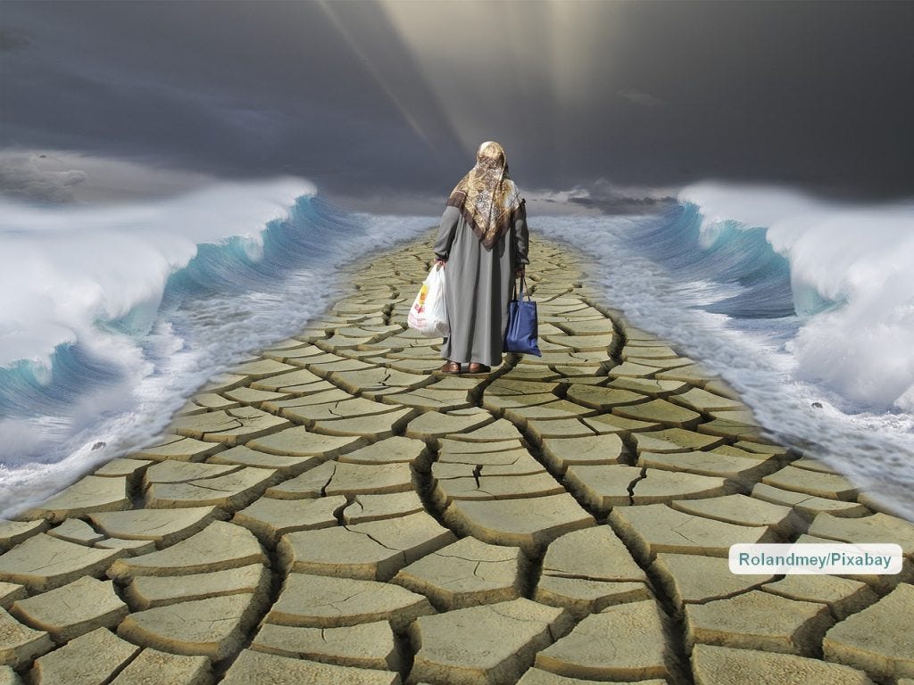 refuge, journey to fullfilment, health