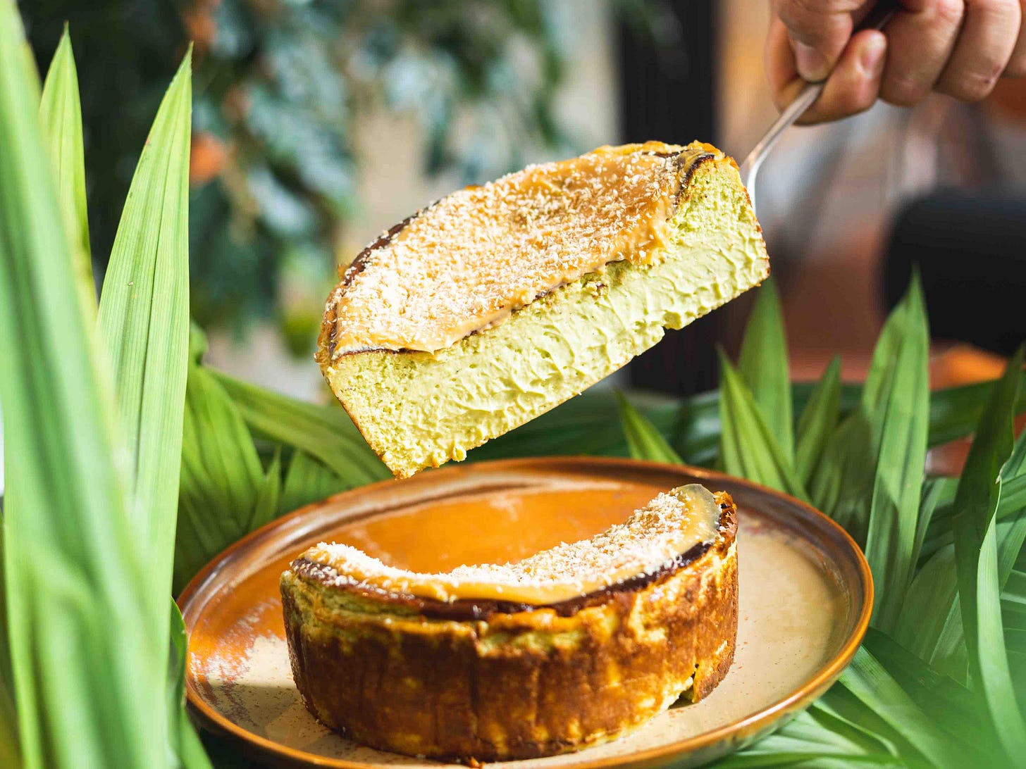 Pandan Kaya cheesecake