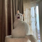 Crypto HFT - In Depth Guide to Optimisation (II)