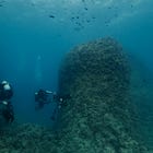 The Mission to Find Cleopatra's Tomb, Art Market Turmoil, and More: Crossroads Roundup