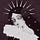 your black dahlia