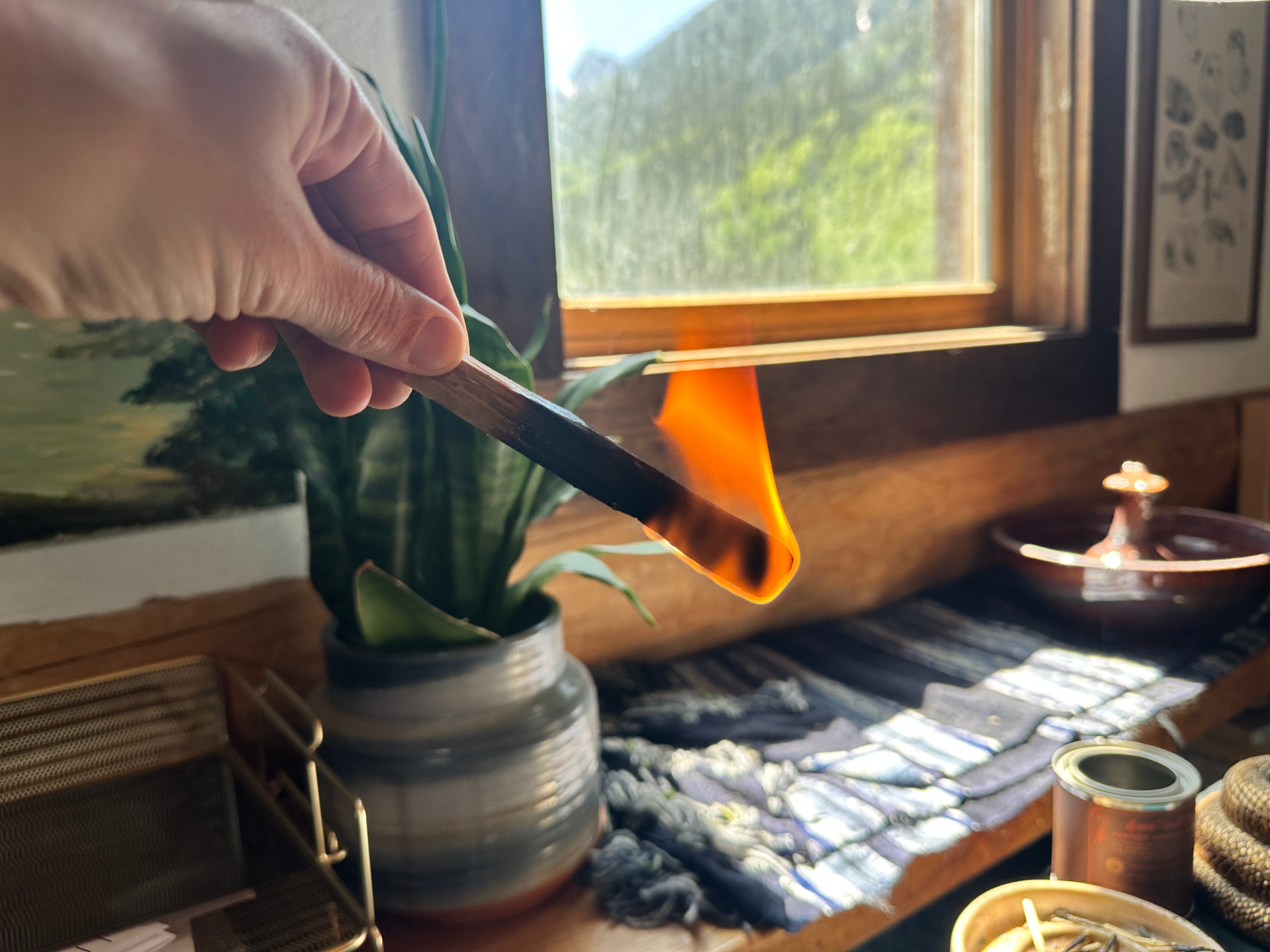 Cabin Notes: get weirder and weirder