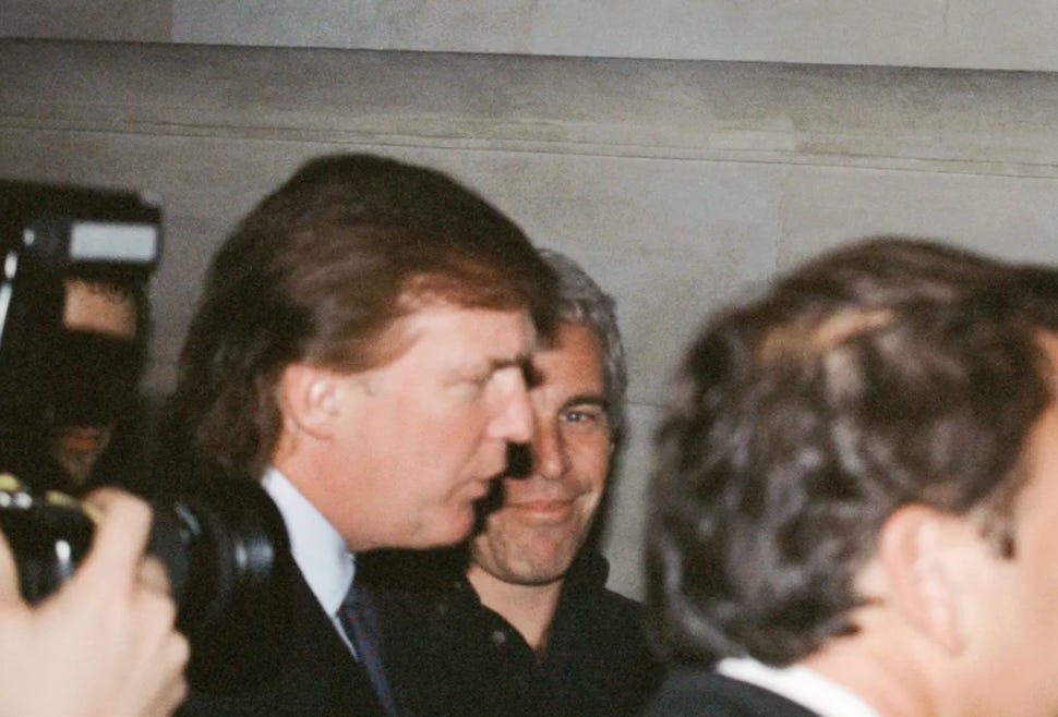 Epstein's brother explains Trump's sudden turn-around on the Epstein ...