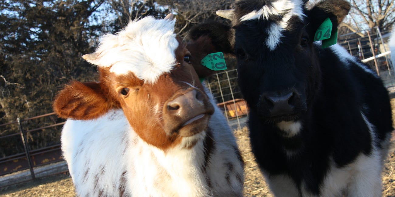 Before Work: A Typical Weekday