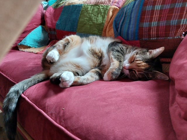 Happy National Fondue Day, To All Who Love Cheese