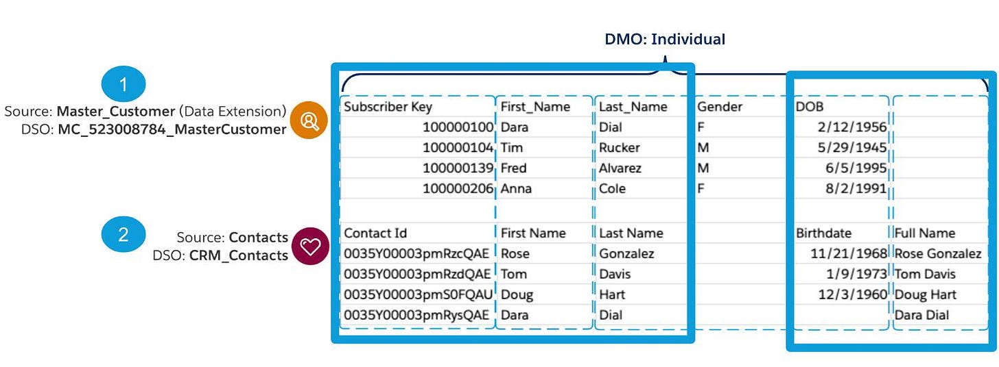 Chart showing 2 sources of ingested data showcaseing how the can be mapped to Individual DMO.