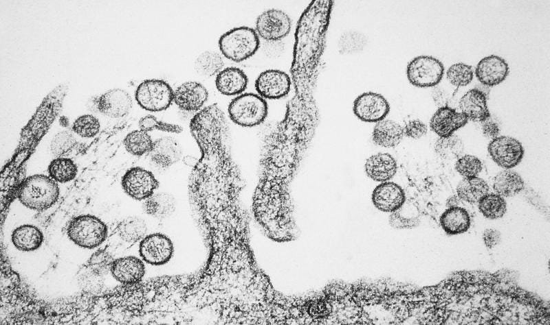 U.S. Army Quietly Developing Hantavirus Vaccines and Gene Therapies