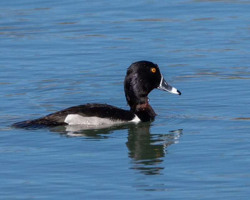 20250213-AguaCalientePark-125-Edit.jpg 20250213-AguaCalientePark-125-Edit.jpg