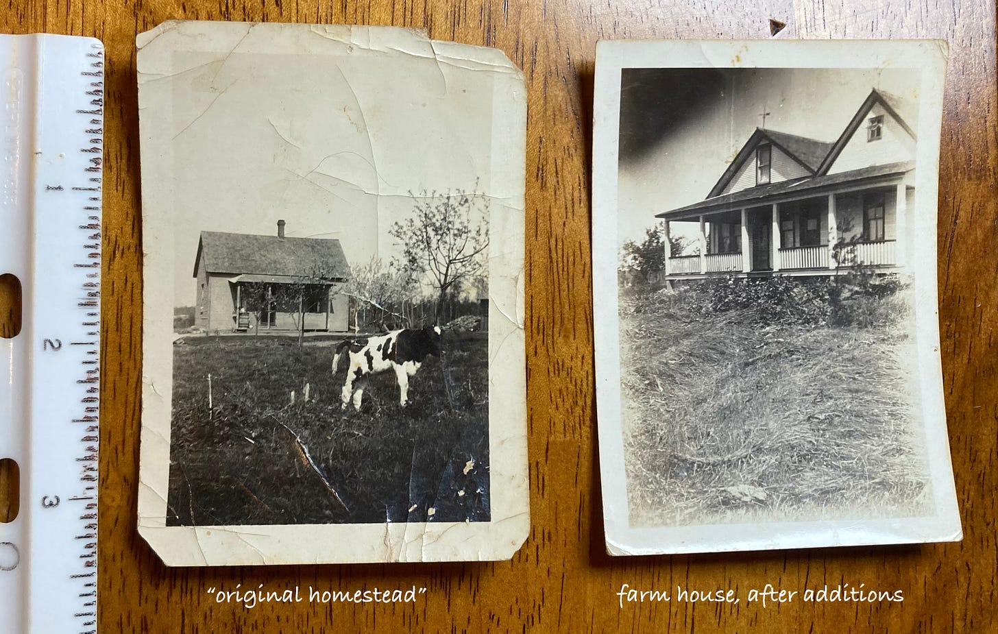 Two small old photos. One with a small and simple house with a cow in the foreground, the other with a built-up porch.