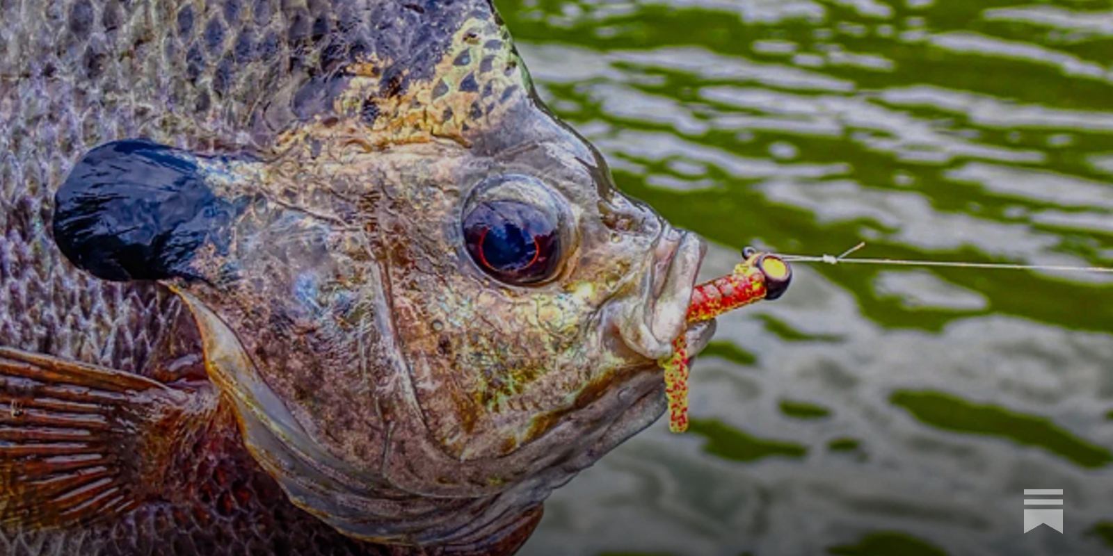 camo open face fishing pole Profishiency Real Tree Edge Camo Spinning Rod and Reel Combo