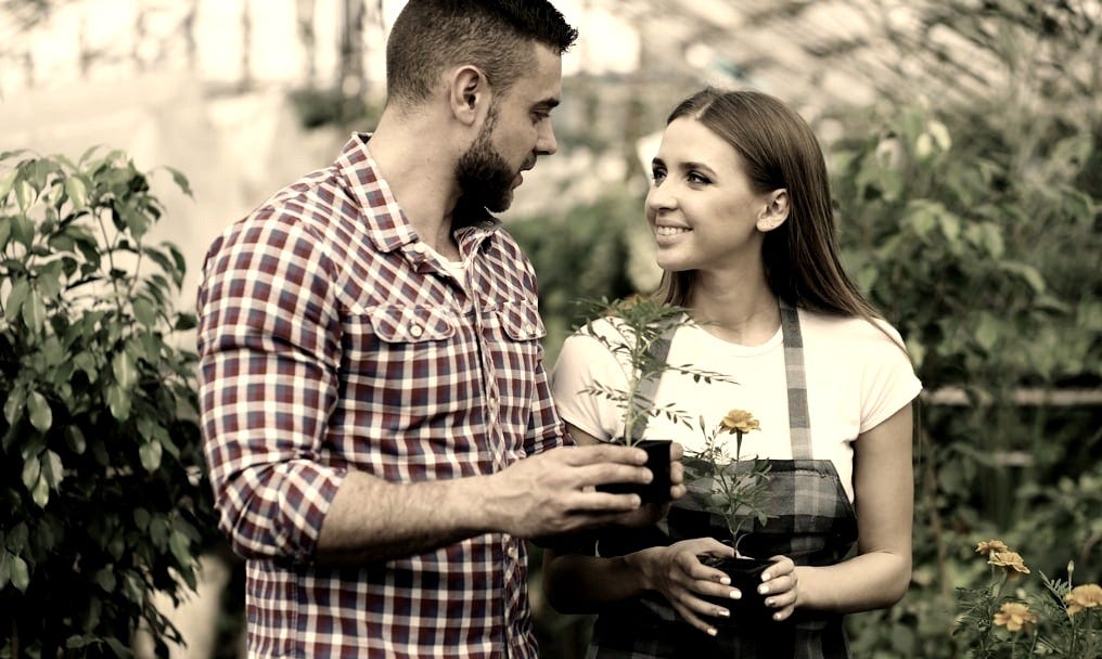 Couple holding potted plants in a garden center Couple holding potted plants in a garden center