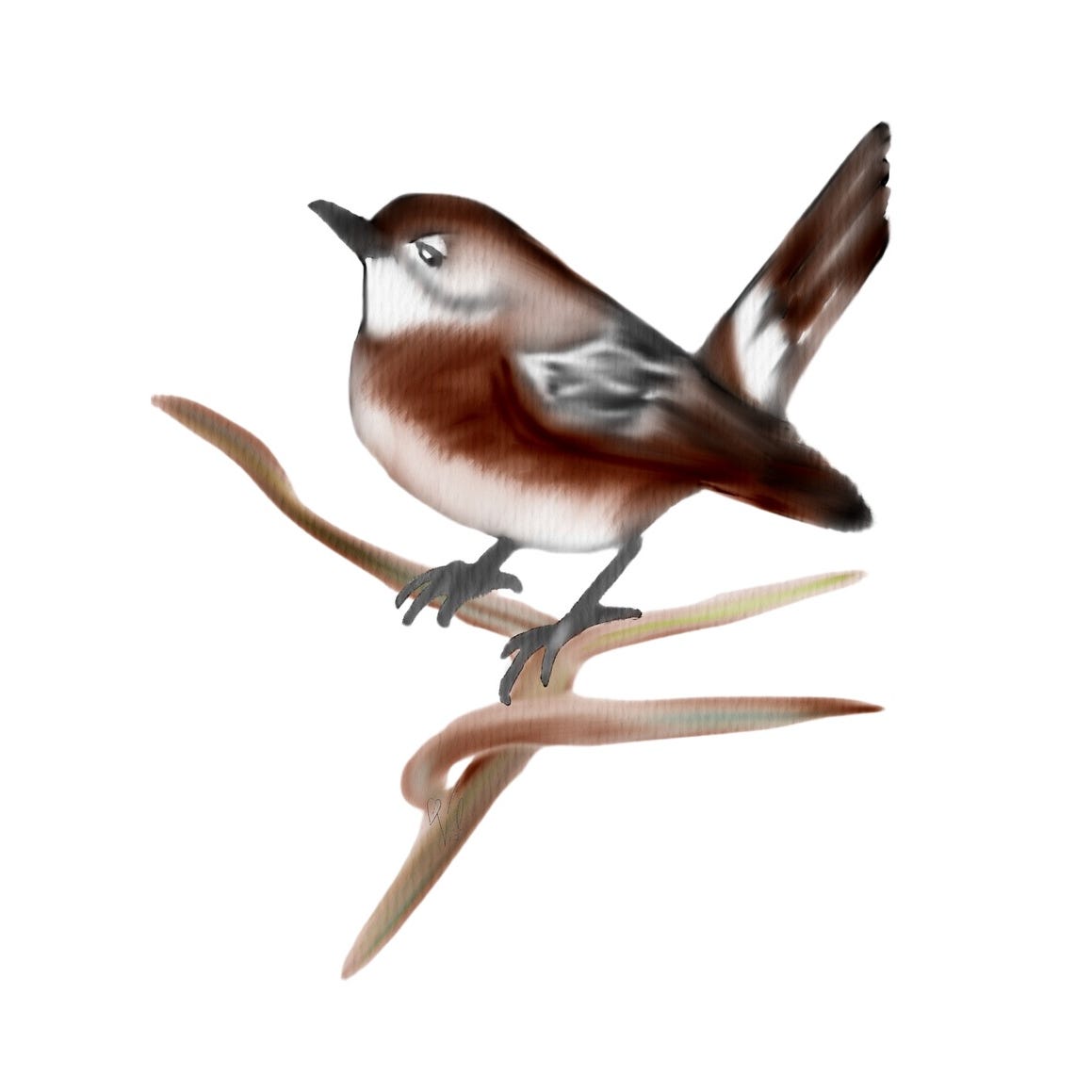 Artwork for Rattle The Echo Chamber