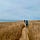 Fallow Ground