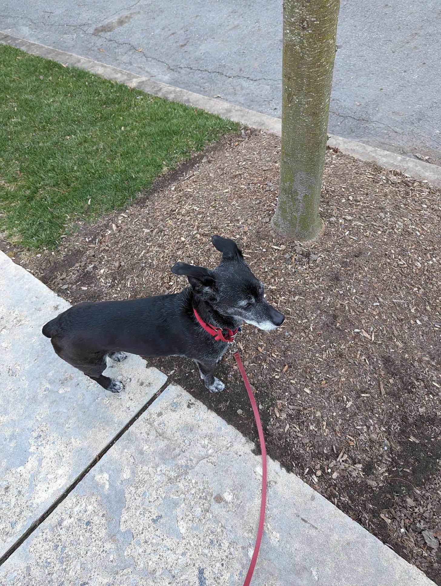 No description available.