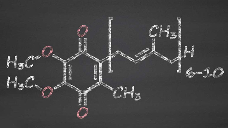 many benefits of coq10 and ubiquinol