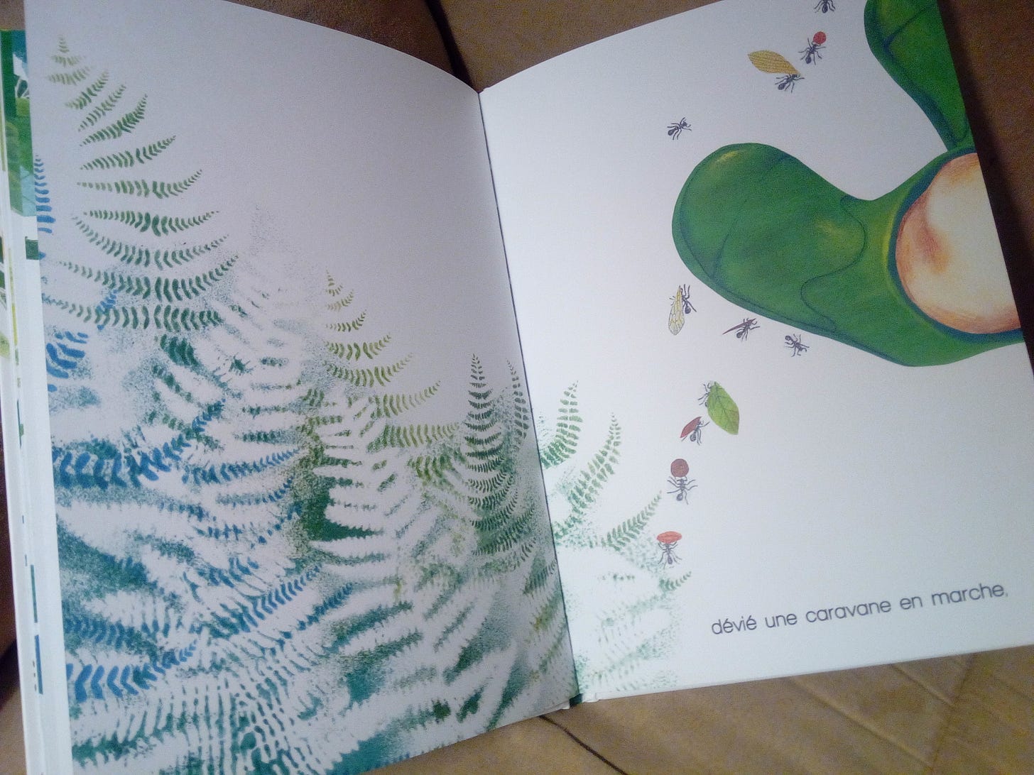 Pas de géant : un sublime album sur les petits bonheurs de l'enfance et les  beautés de la nature