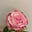 Fareehah's avatar