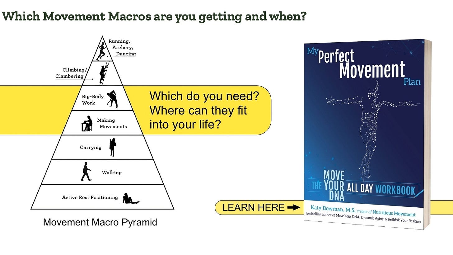 Pyramid that gives weight to the categories of movement humans need. From the botton (what we need the most of): Active Rest Positioning, Walking, Carrying, Making Movements, Big-Body Work, Climbing/Clambering/Running (or other intense/"Peak" movements)