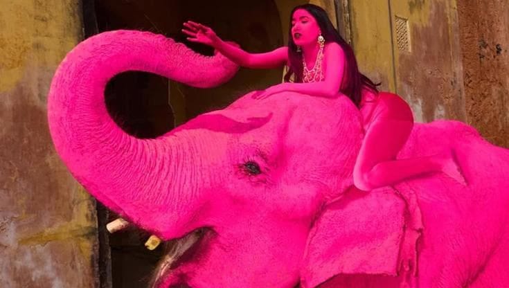 India, elefante dipinto di rosa muore 5 mesi dopo, fotografa russa sotto  accusa: “Non è arte, ma abuso" - La Stampa