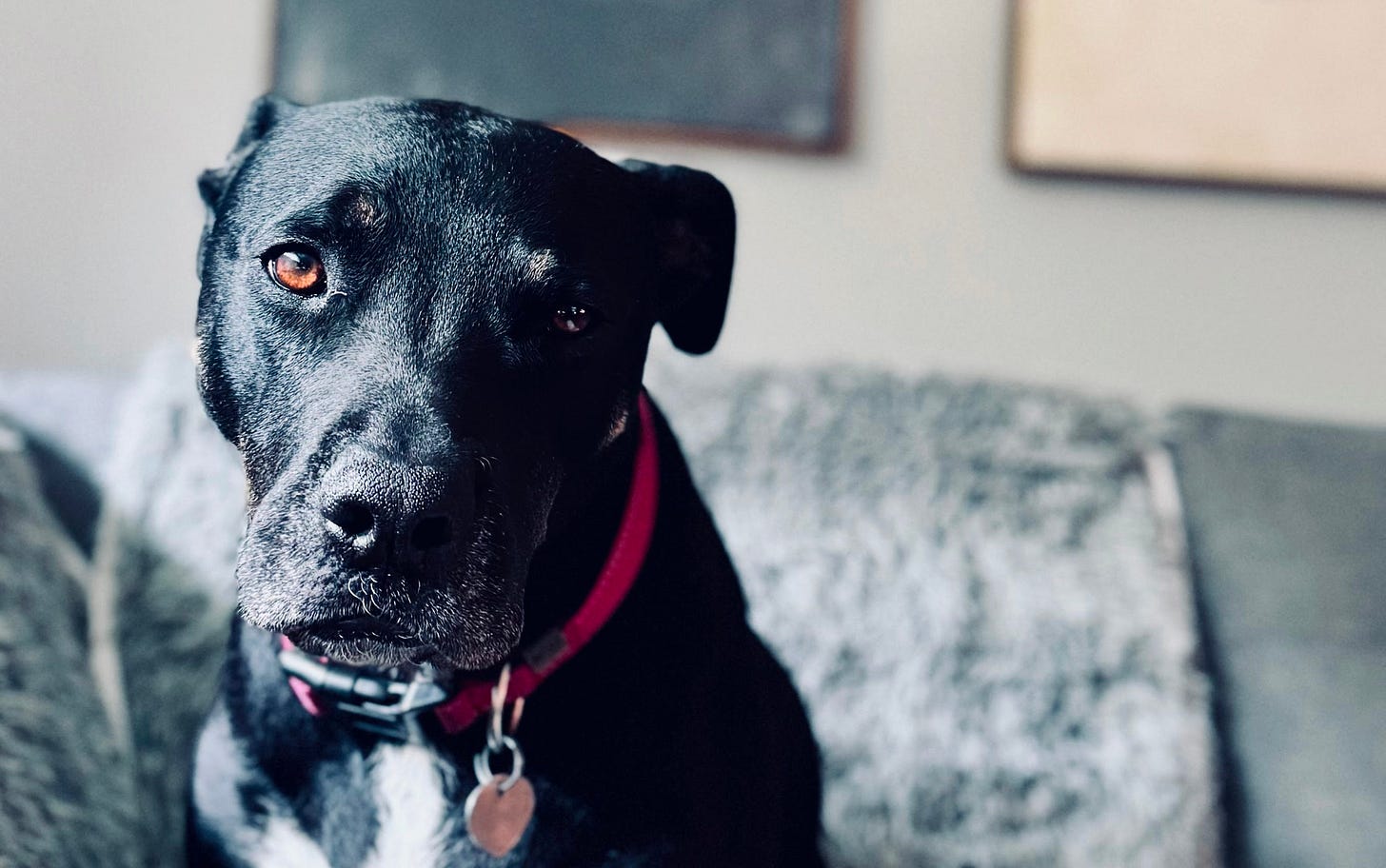 Will you look at this face.