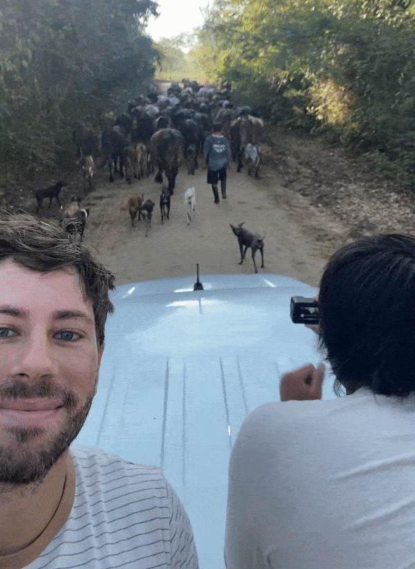 Amazon Traffic Amazon Traffic