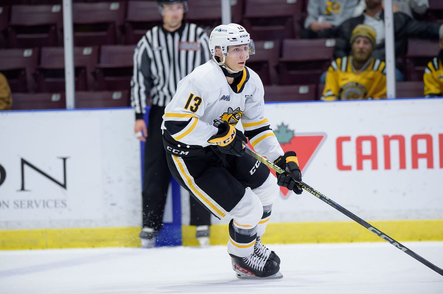 Former Sarnia Sting captain Lukas Fischer traded to Soo Greyhounds