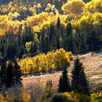 Love the Wild