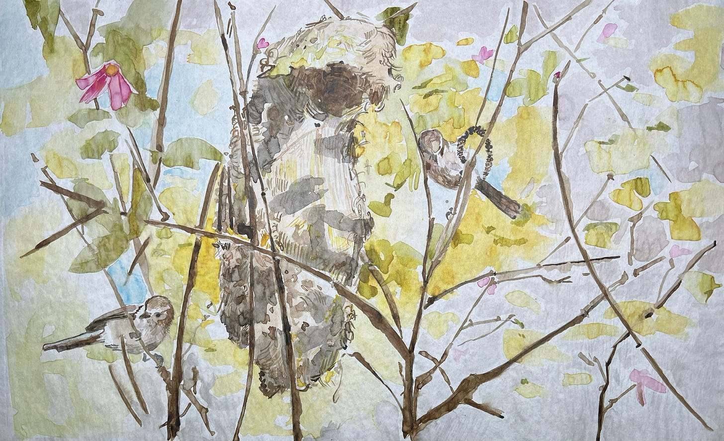 A watercolor drawing of birds perched near a nest in a tree, made with plant-based inks. The pigments were created from plants foraged from the LAND project site, the ecosystem where the birds depicted in the drawing live.
