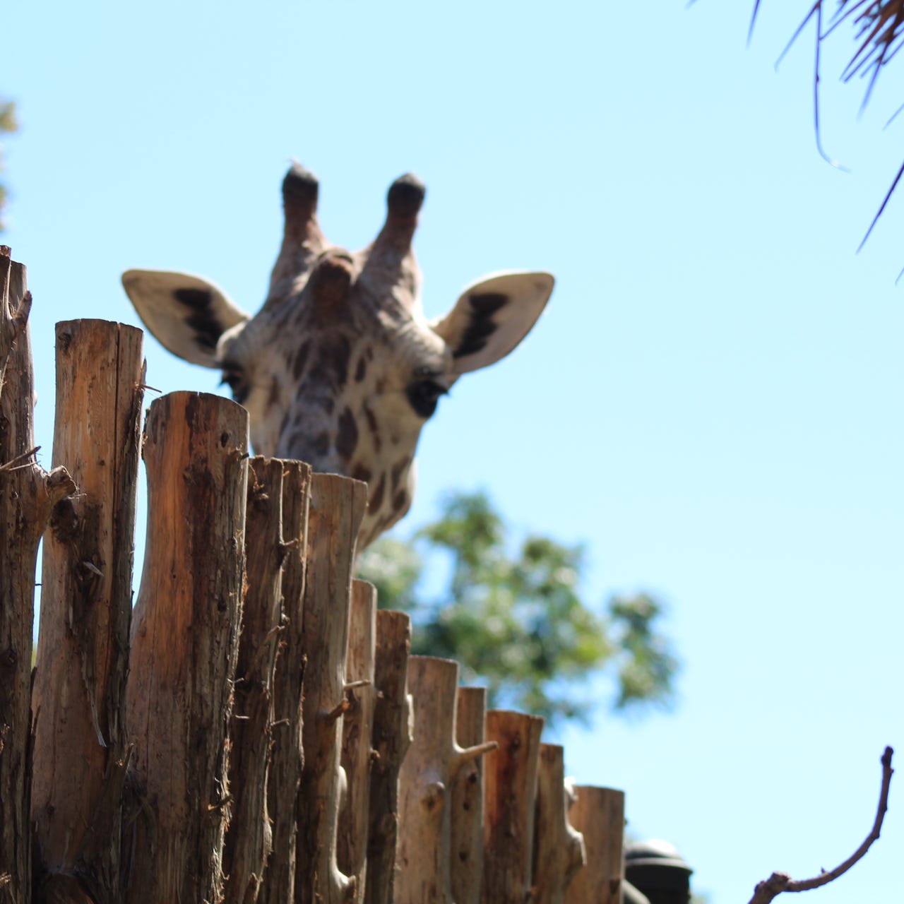 You Bitches Substack