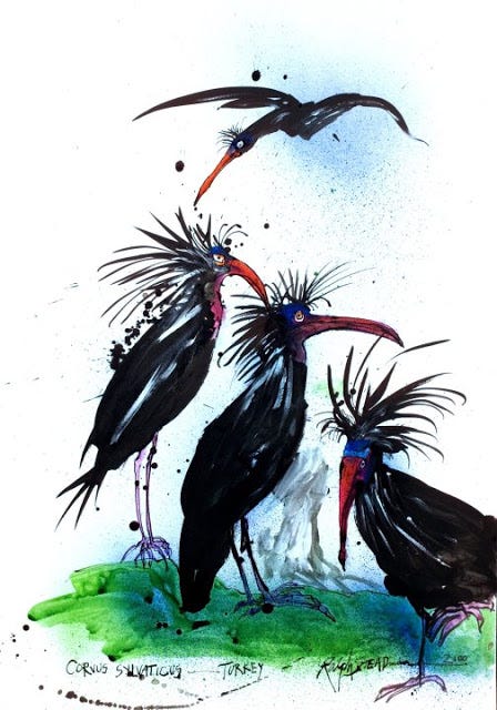 Ghosts of Gone Birds Steadman