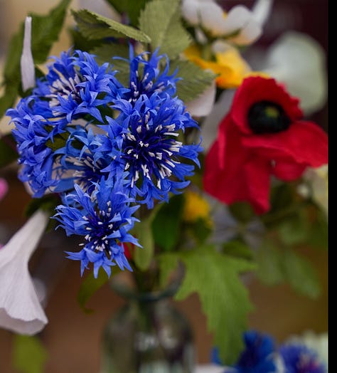 Paper flowers for upcoming workshops, peonies, iris, poppies, cornflowers