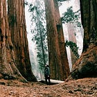 Week 28 - Author Business Coaching Challenge - Playing Big