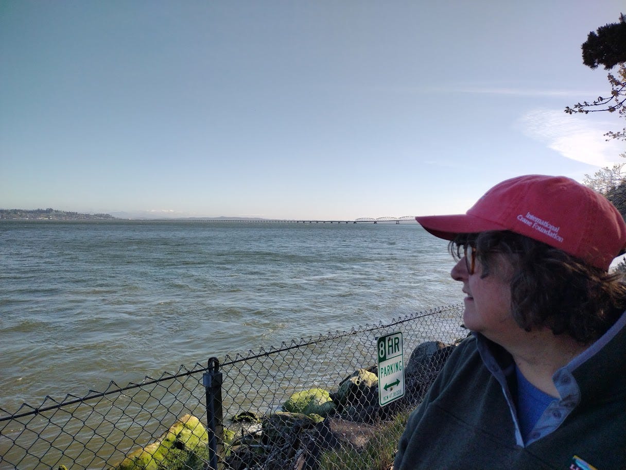 Woman looking at broad estuary with waves