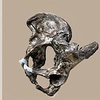 Anthropology.net