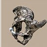 Anthropology.net