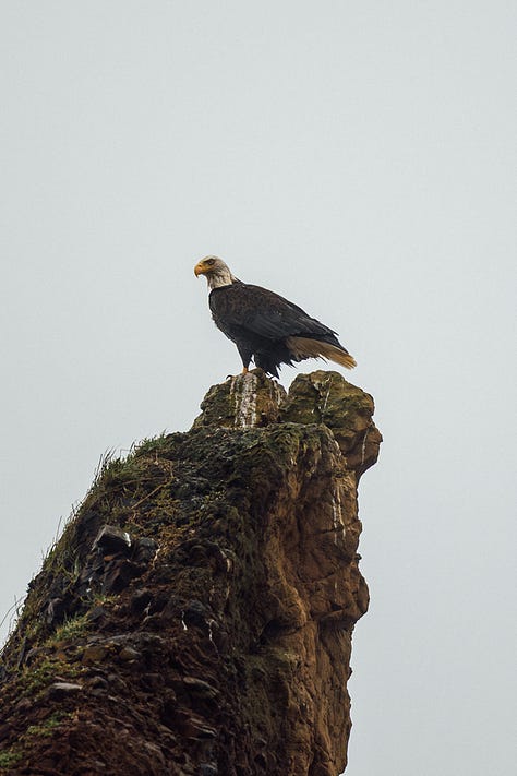 Cannon Beach elopement photograhy by Chasers of the Light
