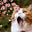 Kitty Purusual's avatar