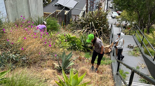 More Than Just Soil: Finding My People in the Garden More Than Just Soil: Finding My People in the Garden