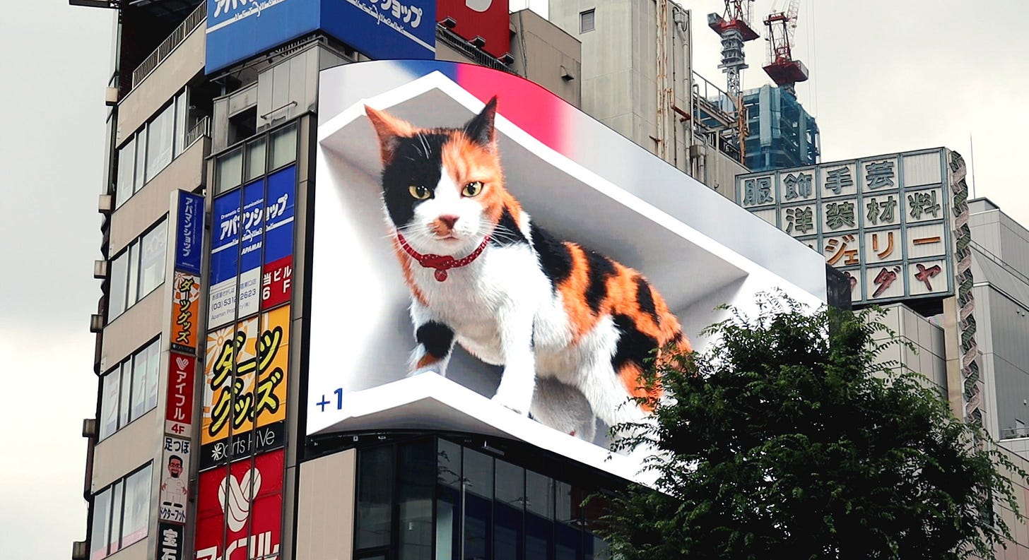 Japan's giant 3D 'Shinjuku cat' has taken over one of Tokyo's biggest  billboards | CNN