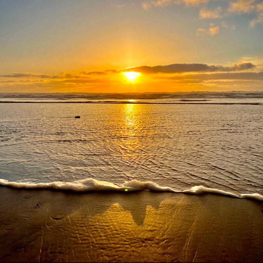 The Subversive Lens Newsletter