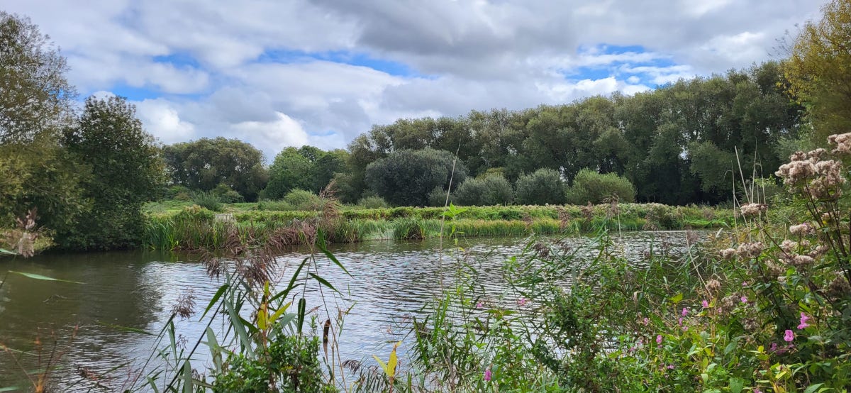 The river Thames in Oxfordshire