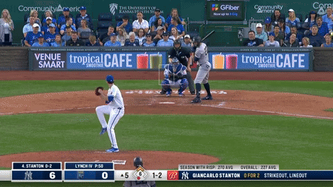 New York Yankees GIF