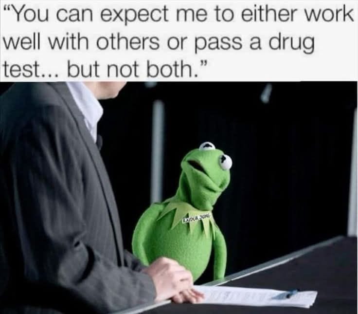 May be an image of 1 person and text that says '"You can expect me to either work well with others or pass a drug test... but not both." い口しみU紙 JUNG LAIOE'