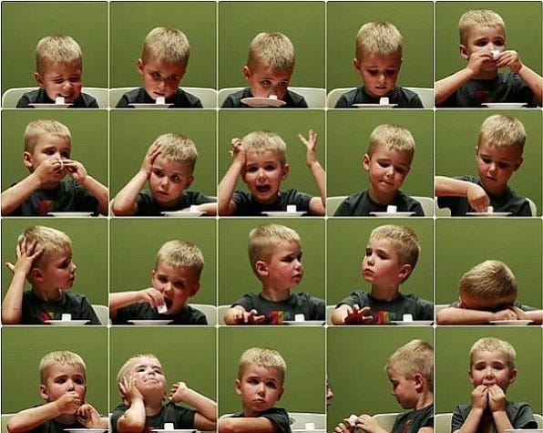 Comparison and Contrast of the “Marshmallow Experiment” and “Don't! The  Secret of Self-Control” | BluPapers