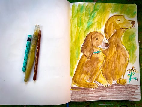 sketchbook illustrations by Beth Spencer