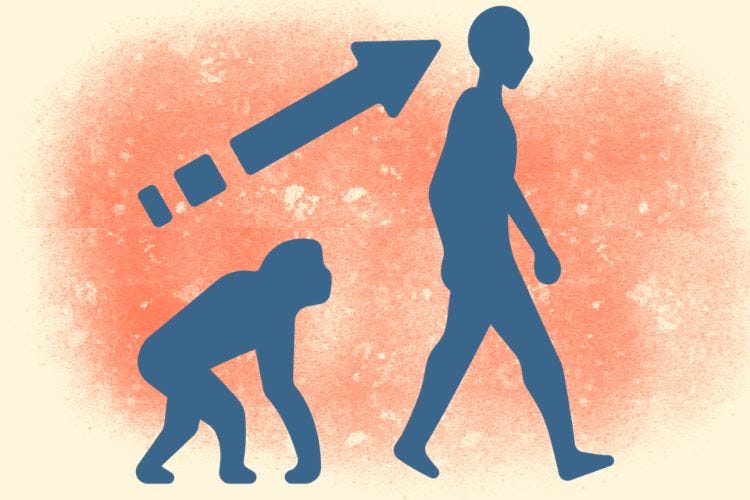 7 million years of bipedal history